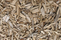 biomass boilers Ellerdine Heath