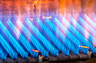 Ellerdine Heath gas fired boilers